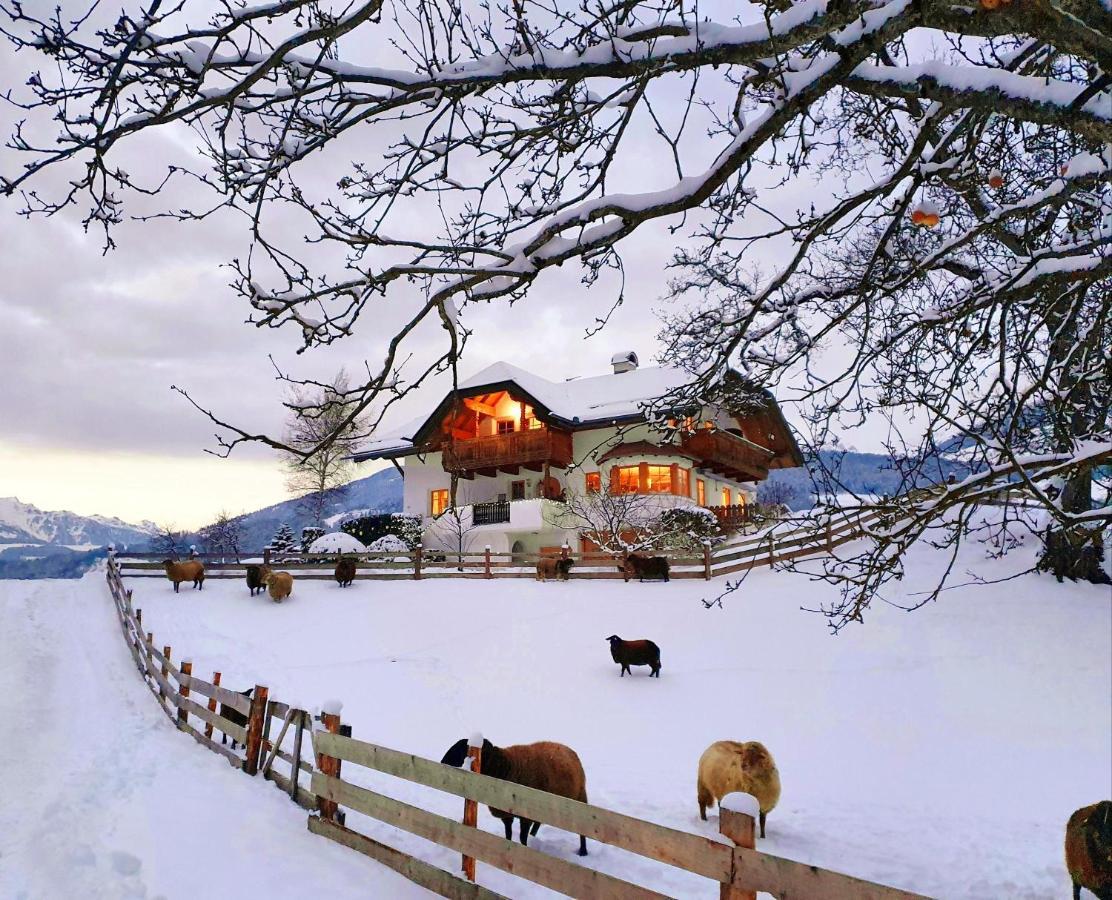 Oberplunerhof - Fewo Kronplatz Kiens Zewnętrze zdjęcie